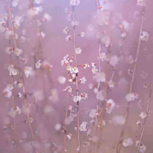 هادی رحیمی تو چه دردی بی درمانی تارک وه سوزه و ژانی